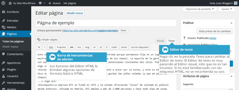 Editor Visual y Editor de Texto al agregar contenido en WordPress