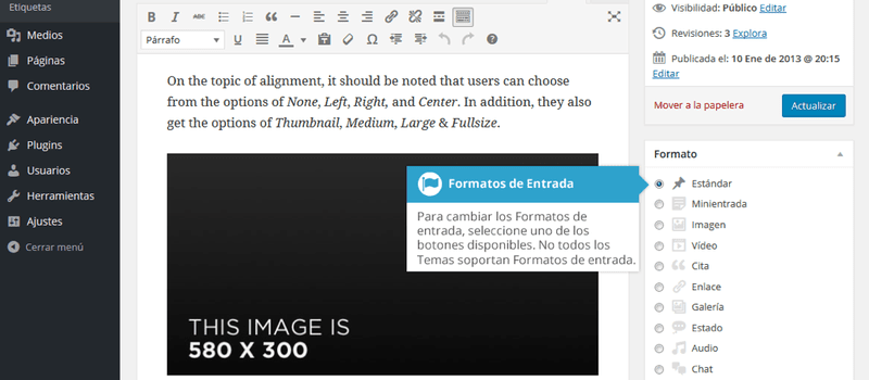 Formatos de Entrada al agregar contenido