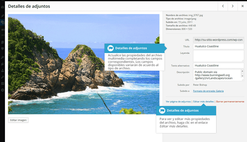 Biblioteca-multimedia-adjuntos