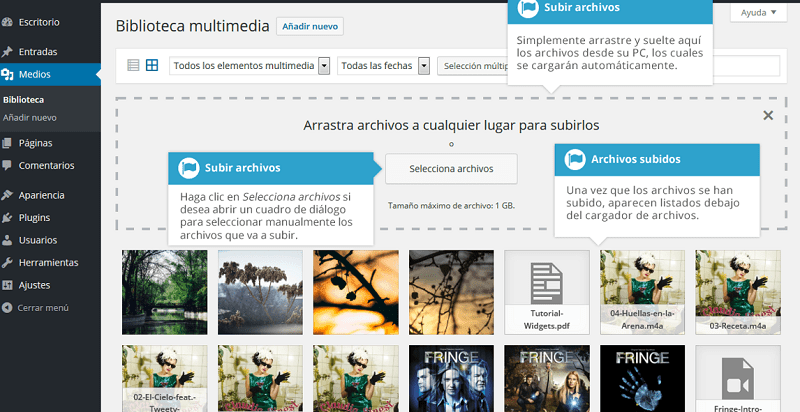 Biblioteca-multimedia-archivos-subidos