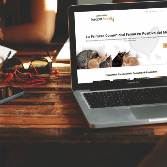 Comunidad Terapia Felina